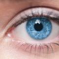 Građa i funkcija dijelova oka